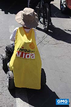 IMG_0698 IMG_0698