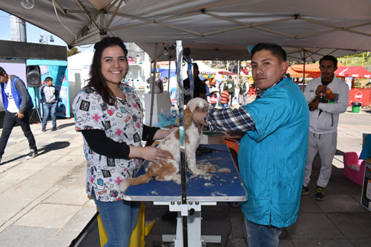 Expo Mascota - Gente Motivando Gente 16